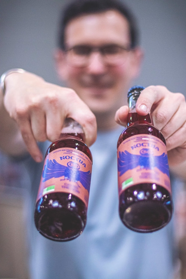 Noctua - Boisson pétillante bio cassis - thé noir 12x33cl